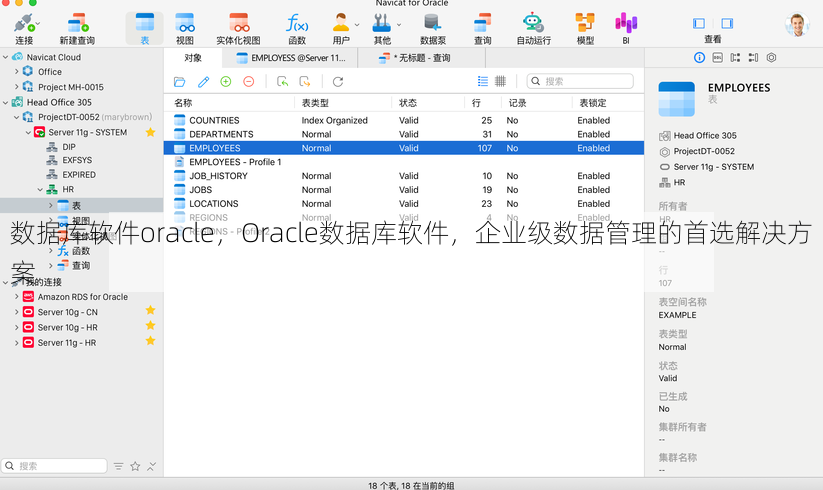 数据库软件oracle