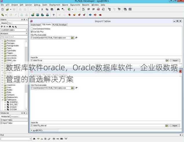 数据库软件oracle