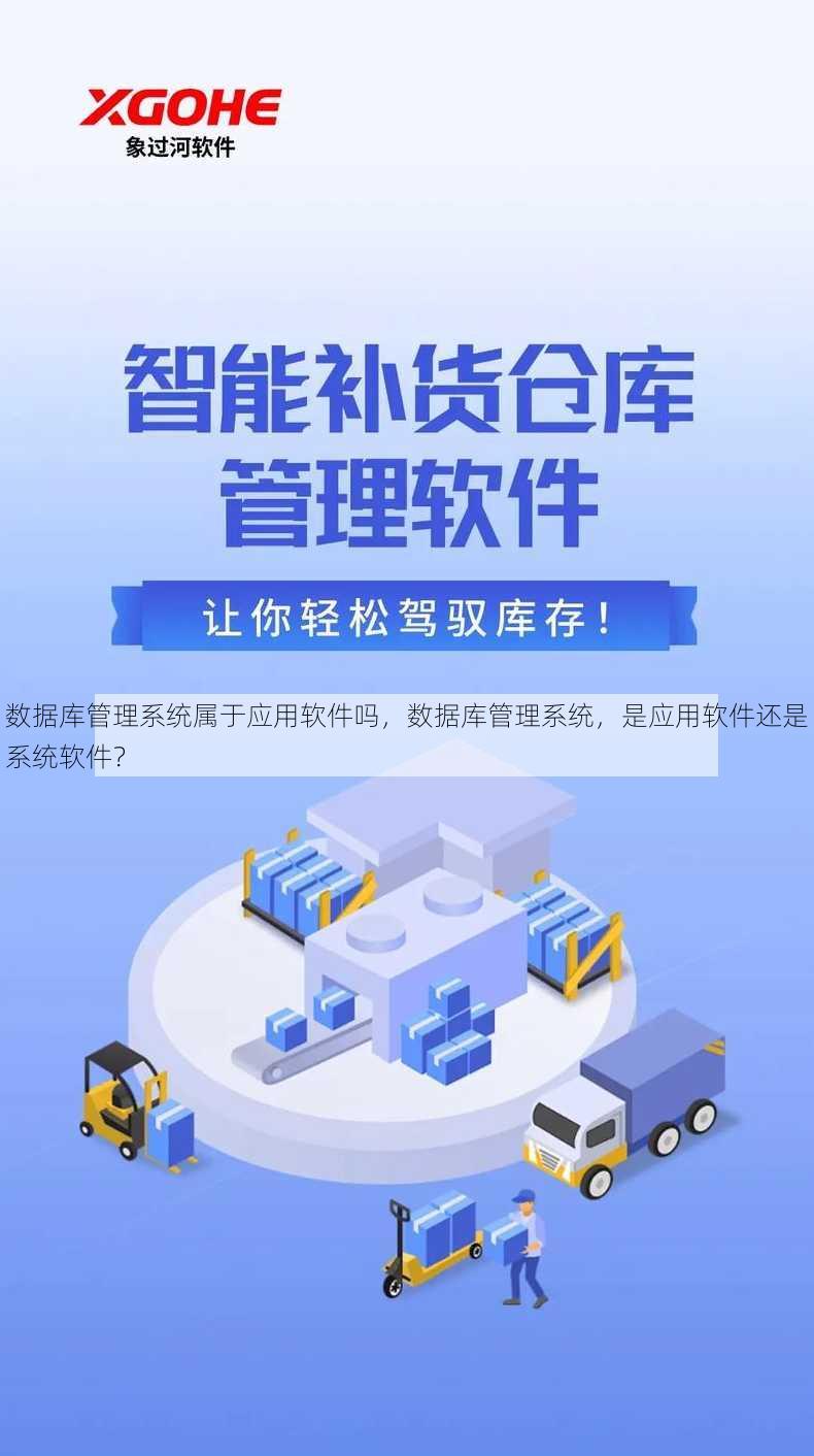 数据库管理系统属于应用软件吗