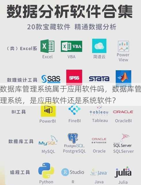 数据库管理系统属于应用软件吗