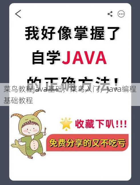 菜鸟教程java基础