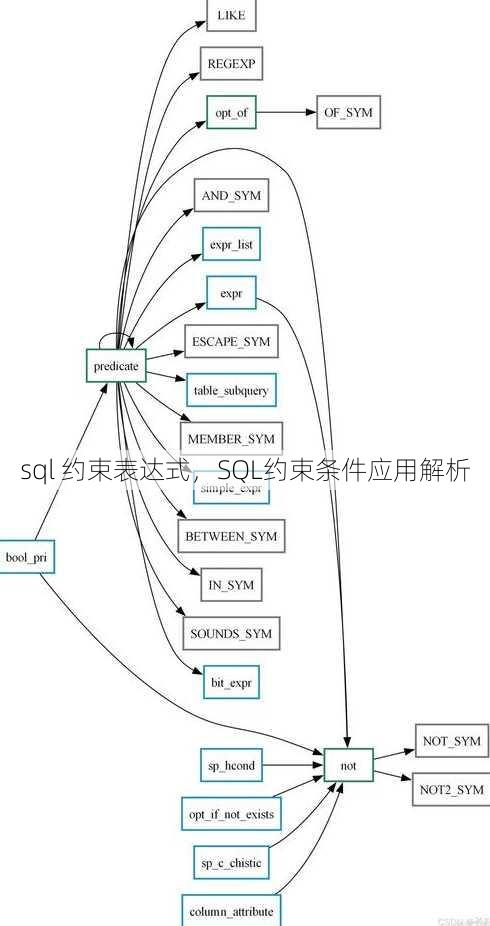 sql 约束表达式