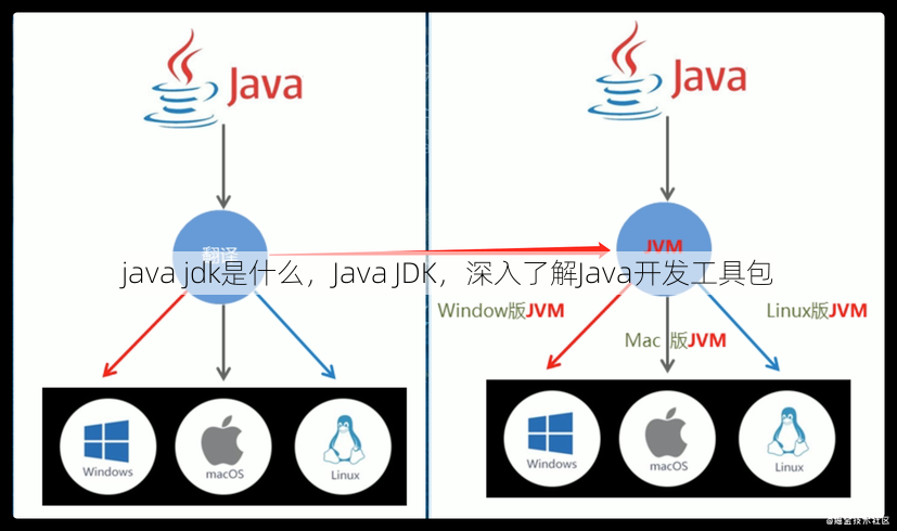 java jdk是什么