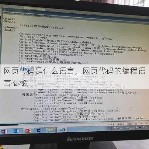 网页代码是什么语言