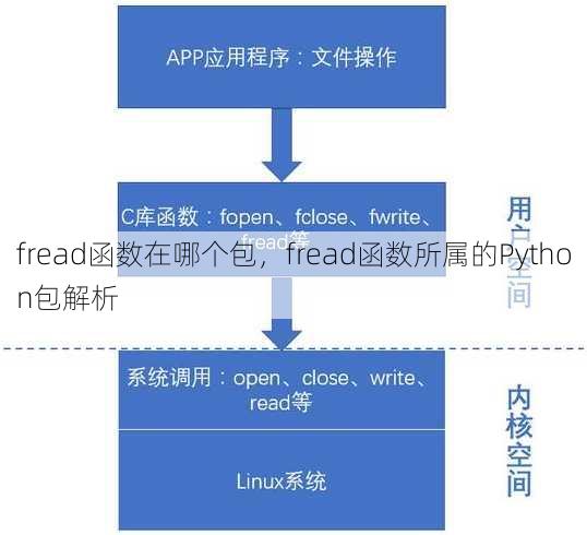 fread函数在哪个包