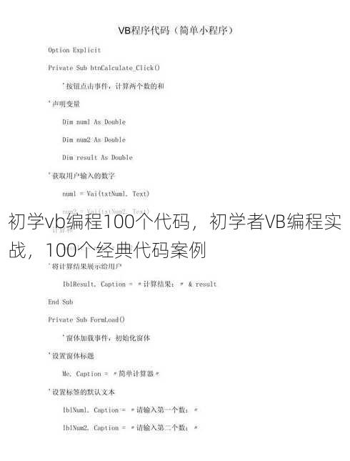 初学vb编程100个代码