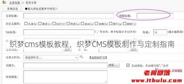 织梦cms模板教程