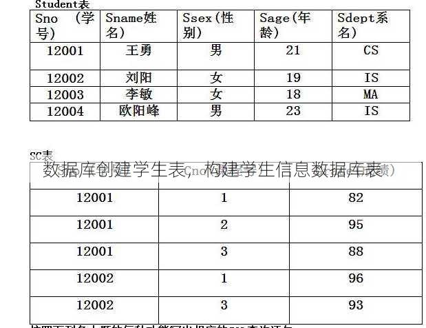 数据库创建学生表