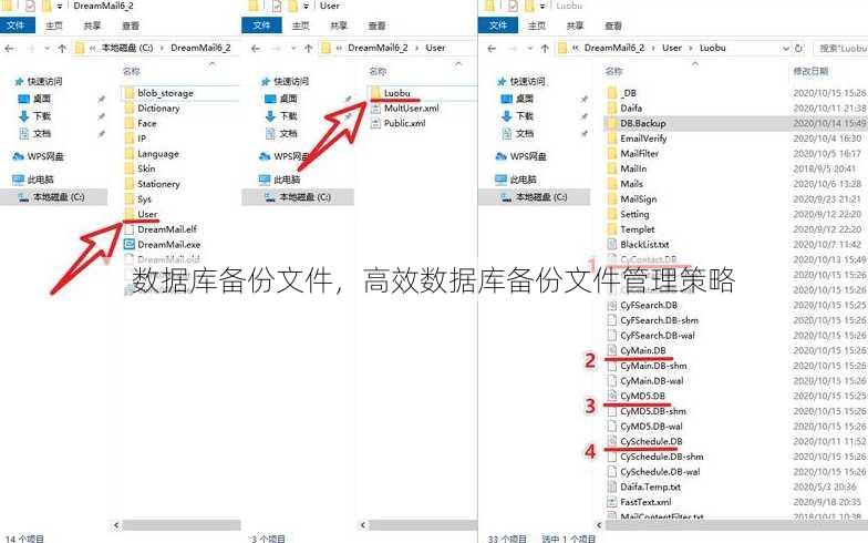 数据库备份文件