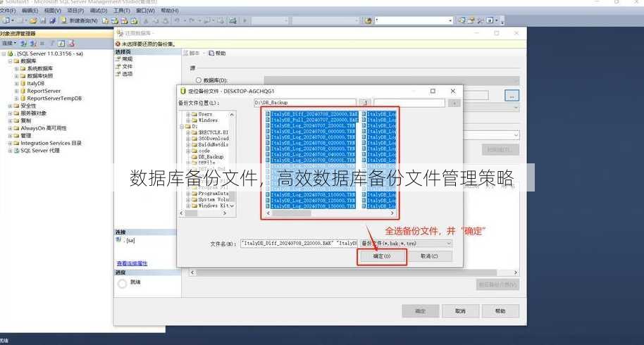 数据库备份文件