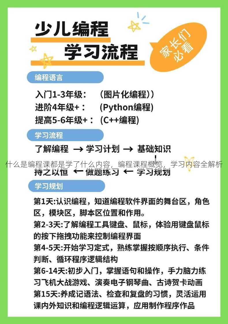 什么是编程课都是学了什么内容