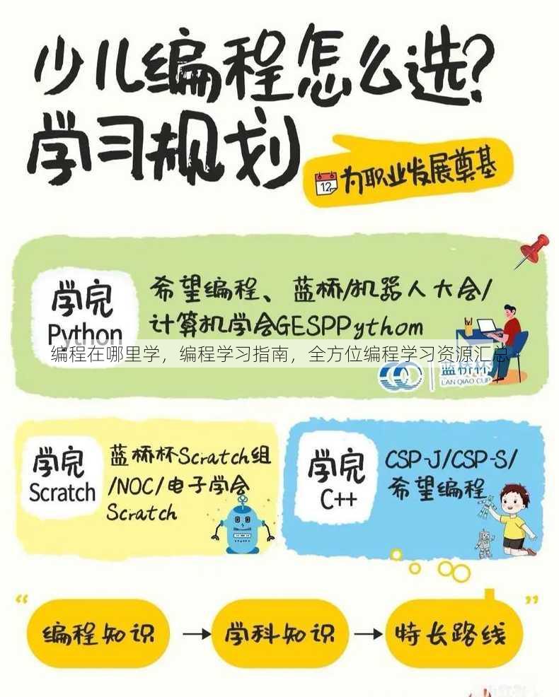 编程在哪里学