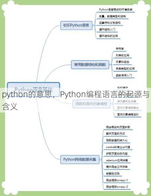 python的意思