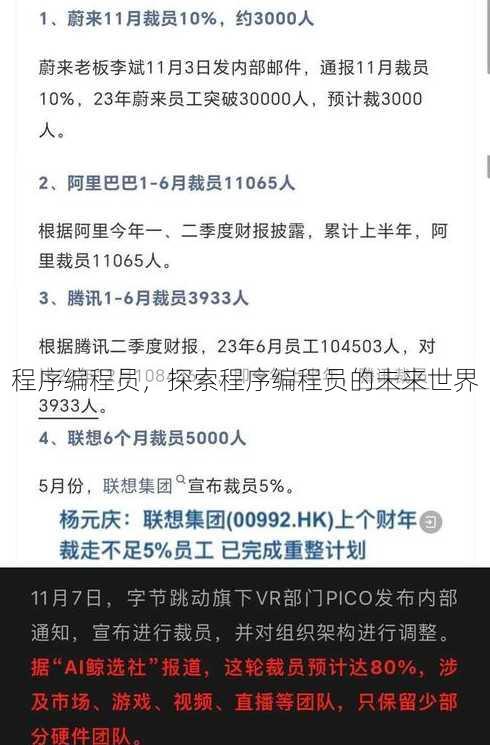 程序编程员