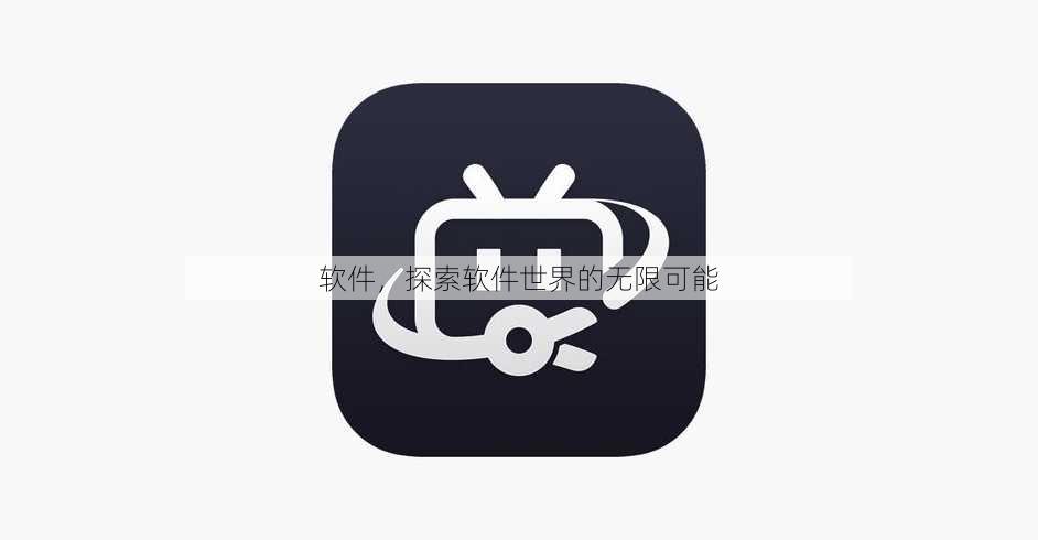 软件