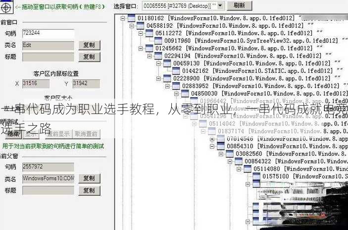 一串代码成为职业选手教程