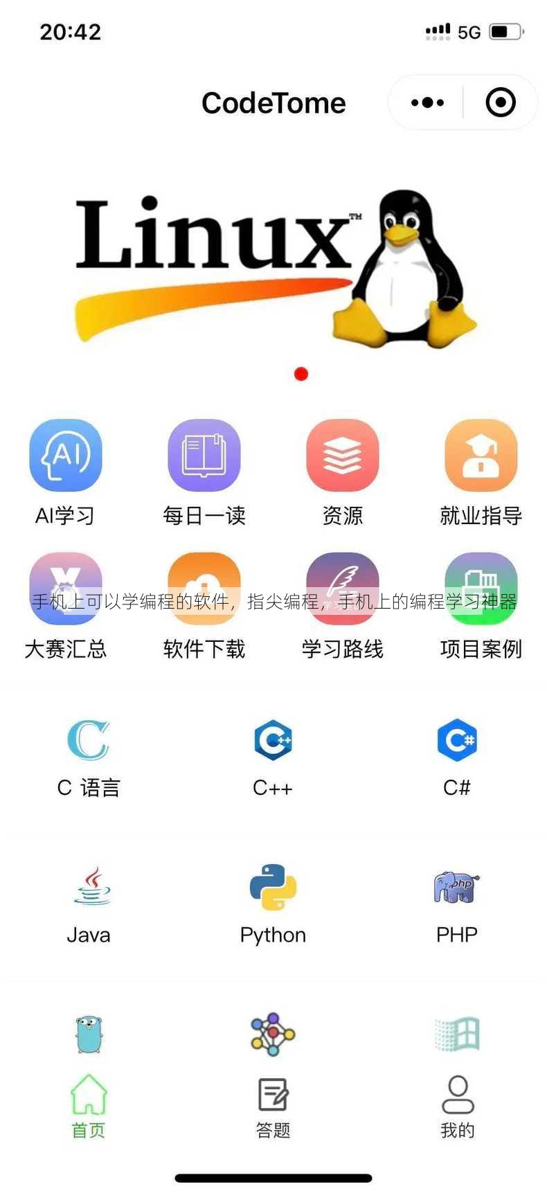 手机上可以学编程的软件