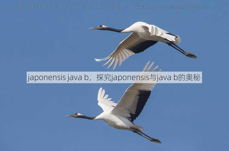 japonensis java b