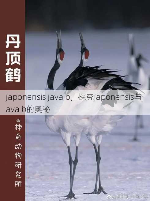 japonensis java b