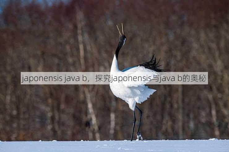 japonensis java b