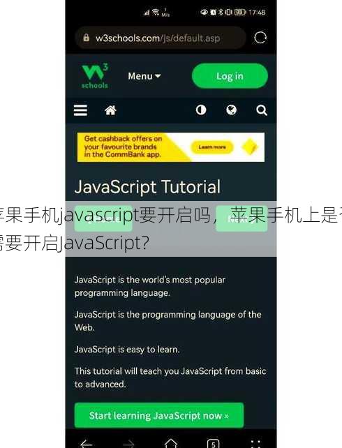 苹果手机javascript要开启吗