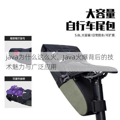 java为什么这么火