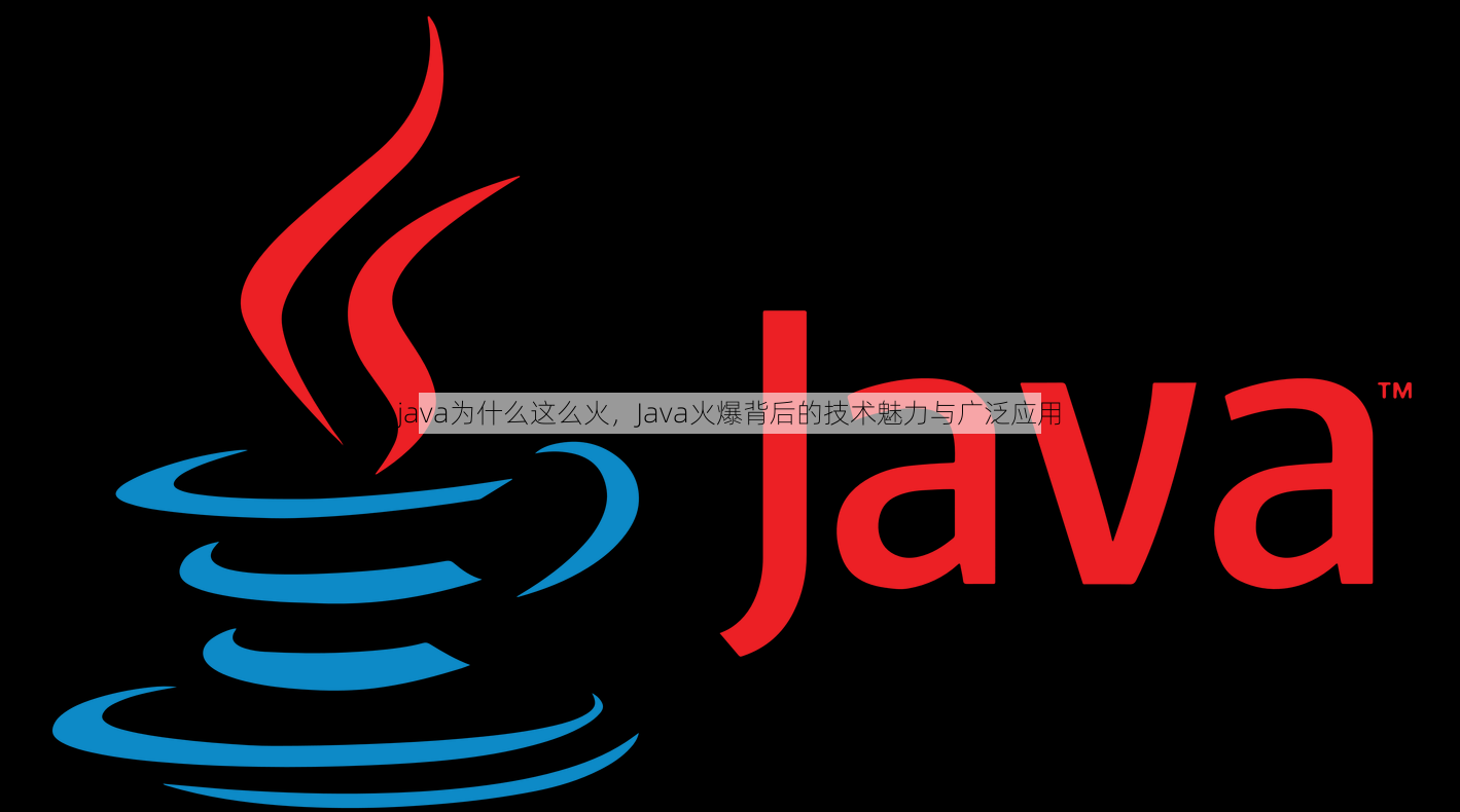java为什么这么火