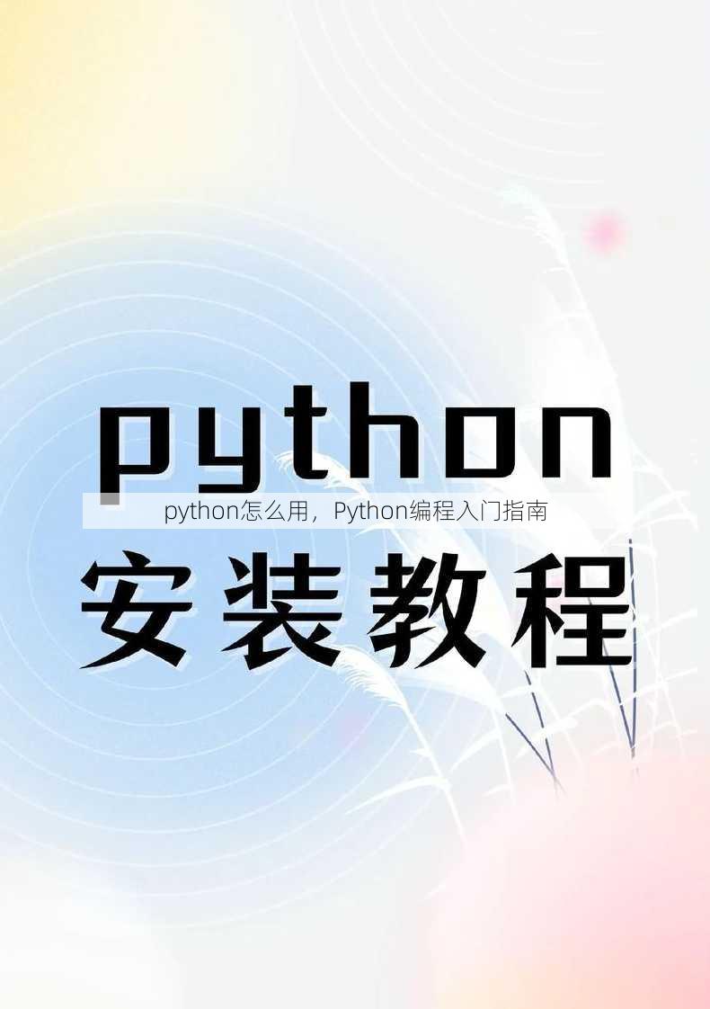 python怎么用