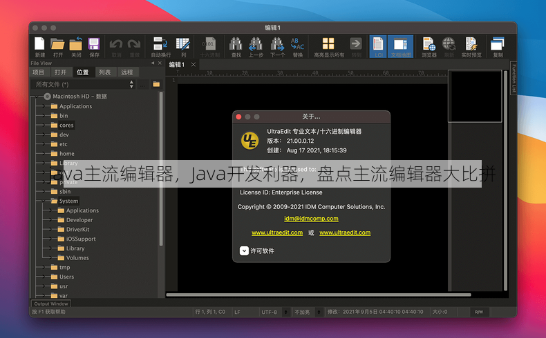 java主流编辑器