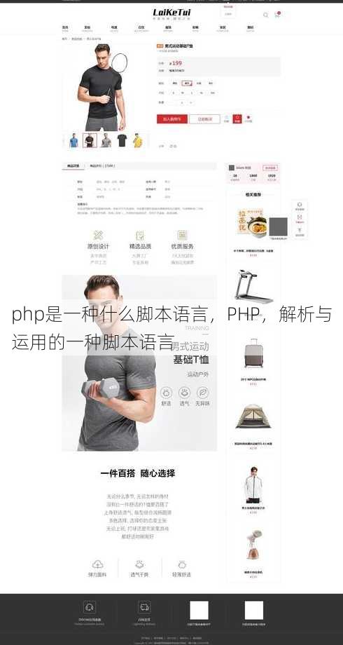 php是一种什么脚本语言