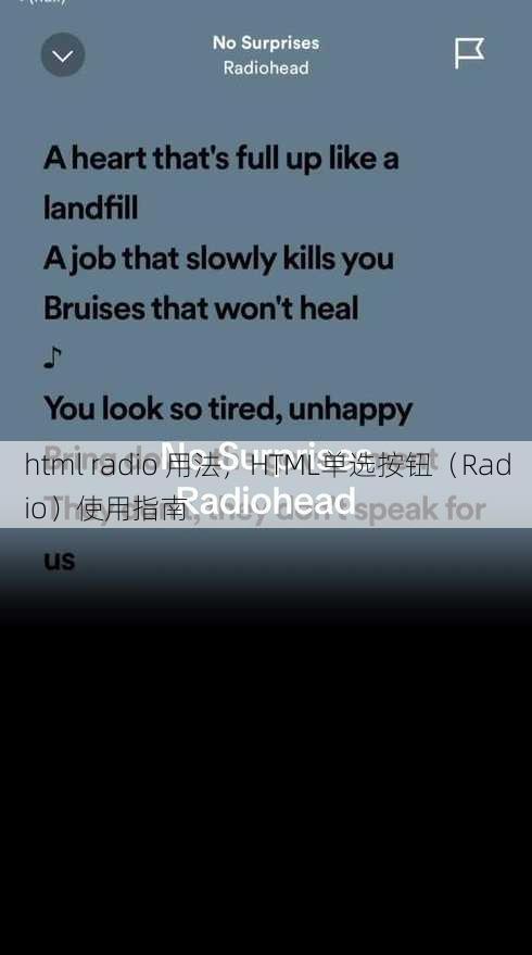 html radio 用法