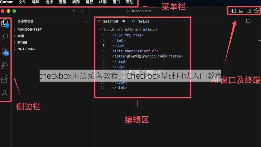 checkbox用法菜鸟教程