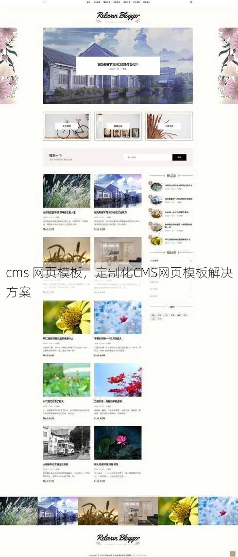 cms 网页模板