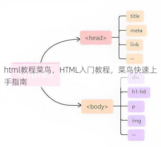 html教程菜鸟