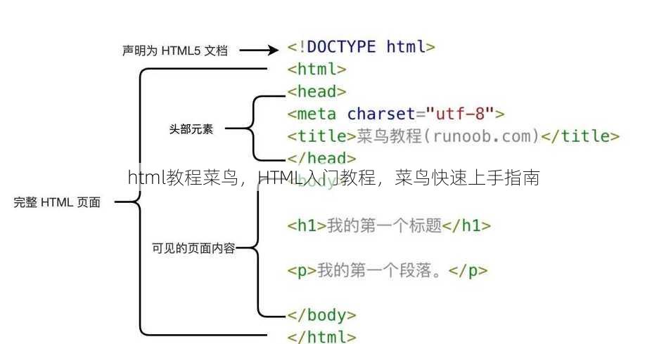 html教程菜鸟