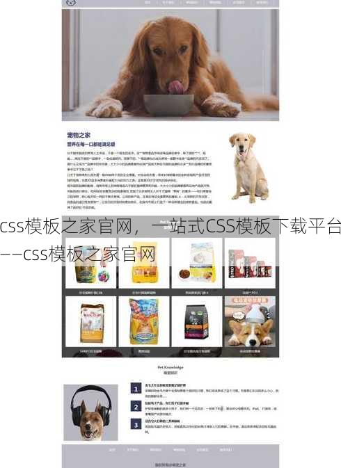 css模板之家官网