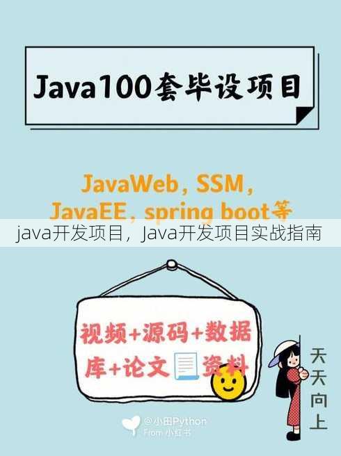 java开发项目