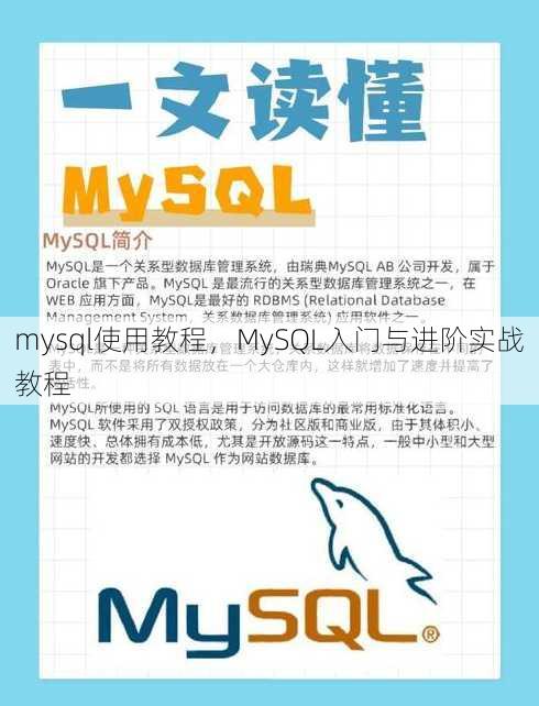 mysql使用教程