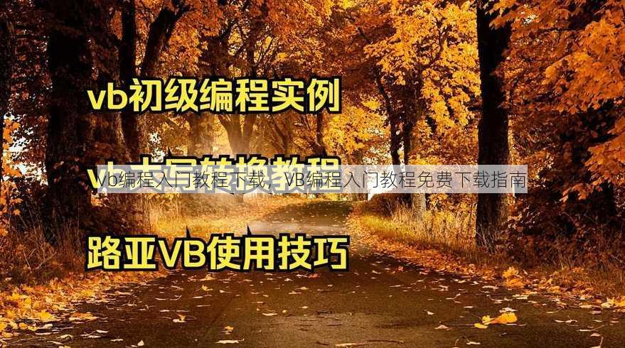 vb编程入门教程下载