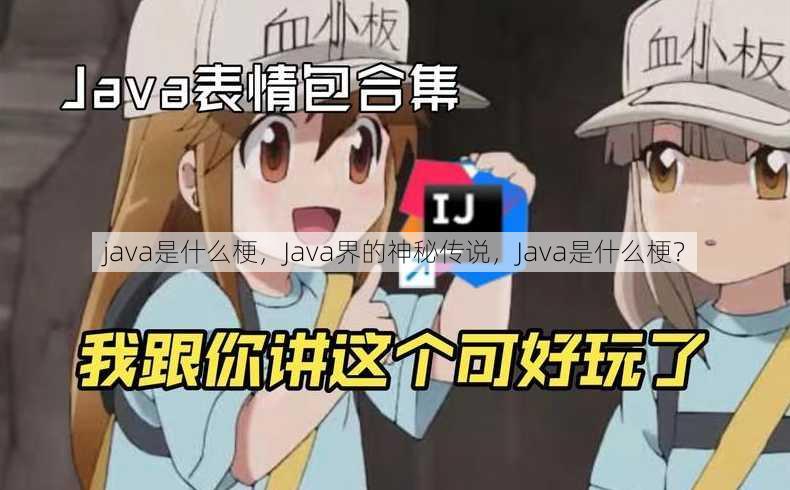 java是什么梗