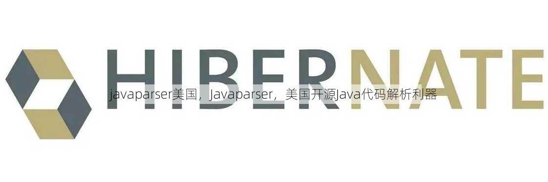 javaparser美国