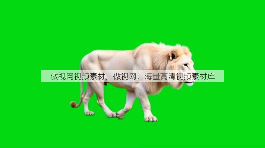 傲视网视频素材