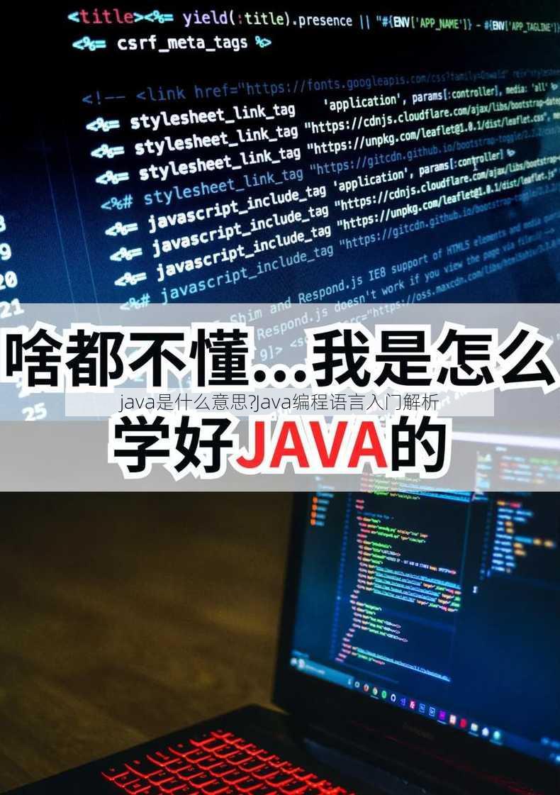 java是什么意思?
