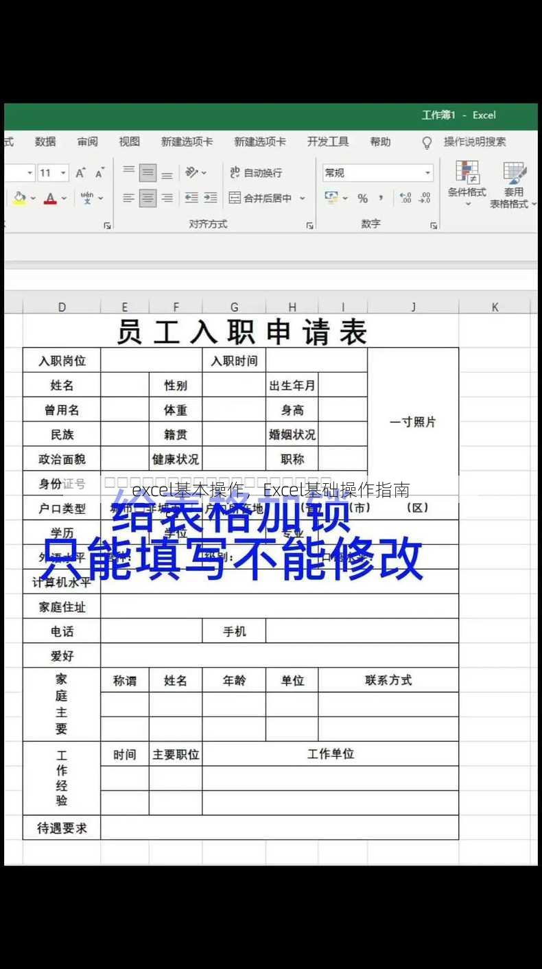 excel基本操作