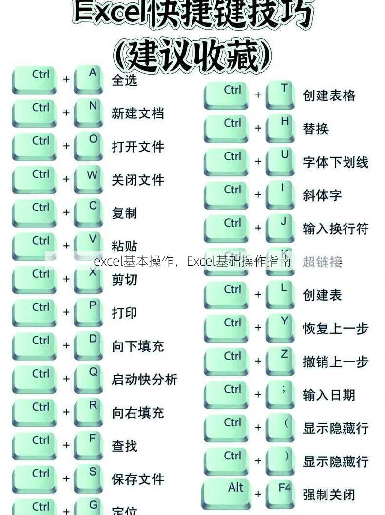 excel基本操作