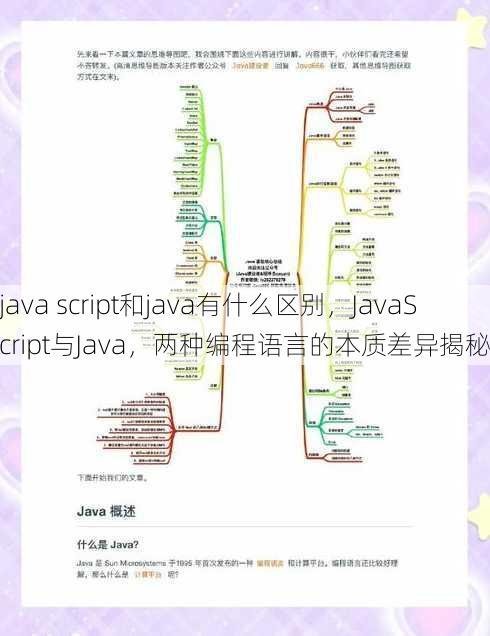java script和java有什么区别