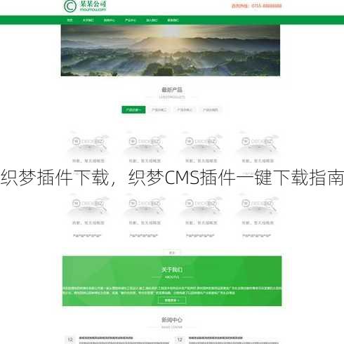 织梦插件下载