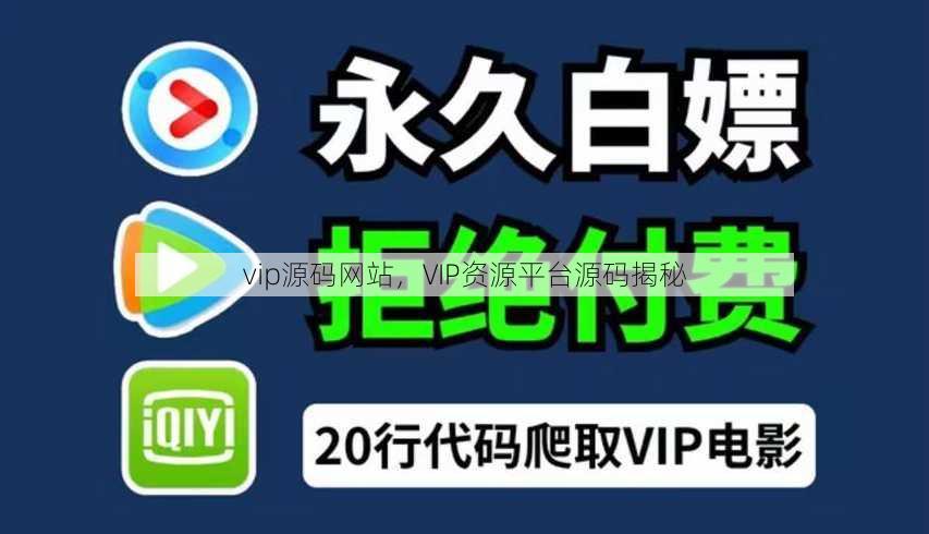 vip源码网站