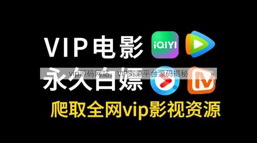vip源码网站