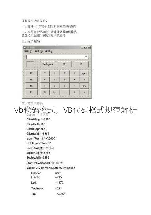 vb代码格式